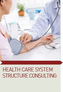 Health Care System Structure Consulting